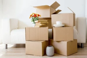 Selena Courier team assisting with festive season removals in London.