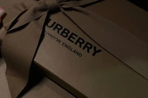 Top benefits of same-day delivery service in London by Selena Courier
