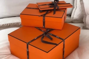 Secure Courier Handling Confidential Package